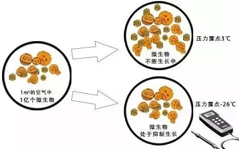 食品及制藥產(chǎn)業(yè)壓縮空氣需謹(jǐn)慎,你吃的食物和藥可能有污染-
