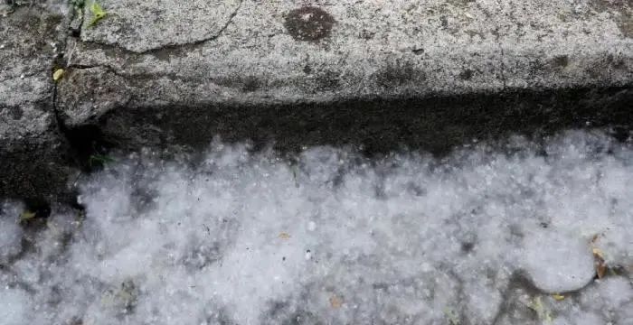 春季柳絮多，空壓機(jī)如何防范和清理