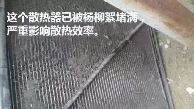 春季柳絮多，空壓機(jī)如何防范和清理